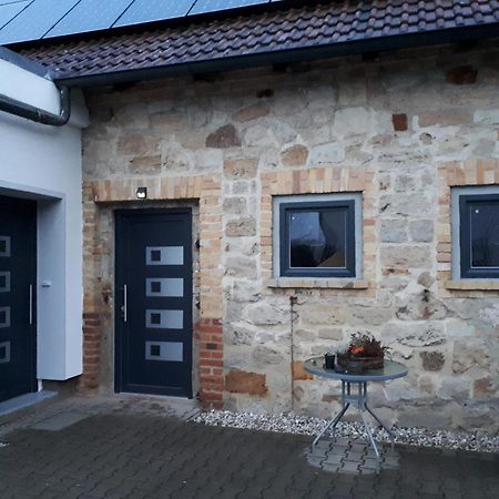 Ferienwohnung Gaensebluemchen Wartenburg Exteriör bild