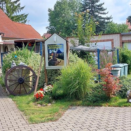 Ferienwohnung Gaensebluemchen Wartenburg Exteriör bild
