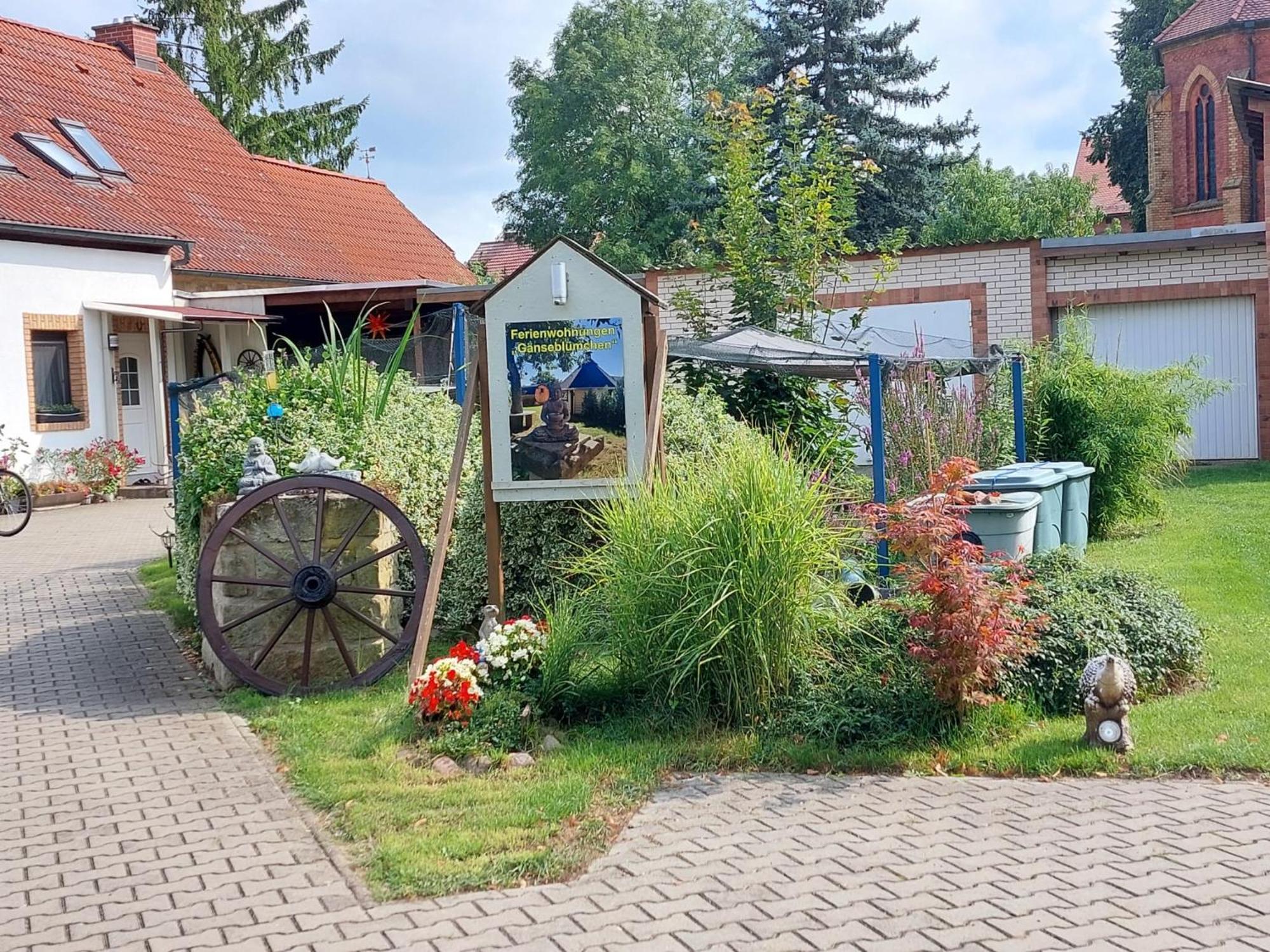 Ferienwohnung Gaensebluemchen Wartenburg Exteriör bild